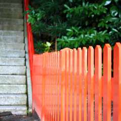 投稿日:2014年12月28日 写真