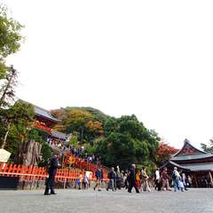 投稿日:2014年12月28日 写真