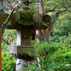 投稿日:2014年12月28日 写真