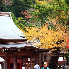 投稿日:2014年12月30日 写真