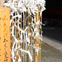 投稿日:2014年12月25日 写真