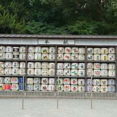 投稿日:2024年8月6日 写真