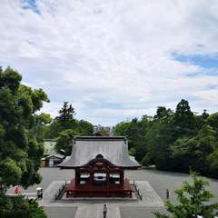 投稿日:2020年6月12日 写真