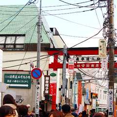 投稿日:2014年12月30日 写真