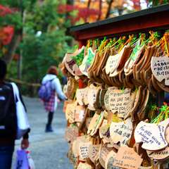 投稿日:2014年12月30日 写真