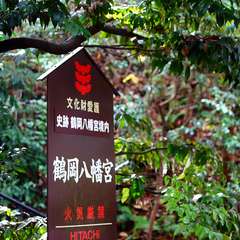 投稿日:2014年12月25日 写真