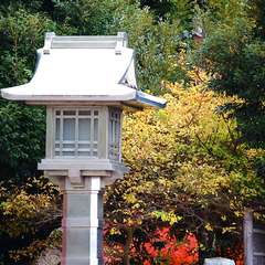 投稿日:2014年12月30日 写真