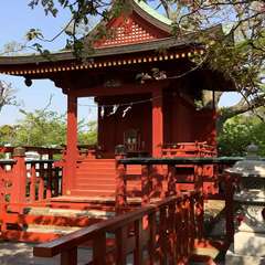 投稿日:2023年3月21日 写真