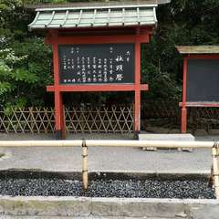 投稿日:2020年6月12日 写真