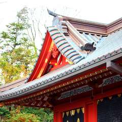 投稿日:2014年12月28日 写真