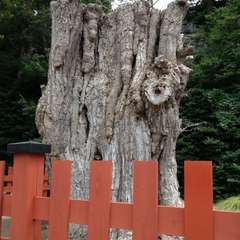 投稿日:2015年12月31日 写真