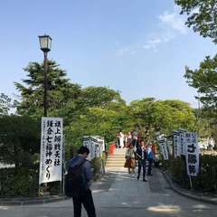 投稿日:2023年3月21日 写真