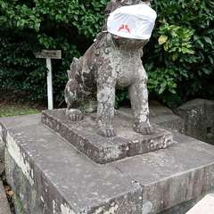 投稿日:2022年9月1日 写真