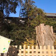 投稿日:2019年12月8日 写真