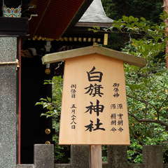 投稿日:2023年3月21日 写真