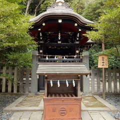 投稿日:2023年3月21日 写真