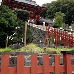 投稿日:2015年12月31日 写真