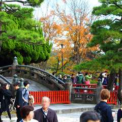 投稿日:2014年12月30日 写真