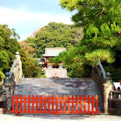 投稿日:2014年12月30日 写真