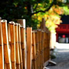 投稿日:2014年12月26日 写真