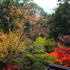 投稿日:2014年12月28日 写真