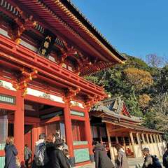 投稿日:2019年12月8日 写真