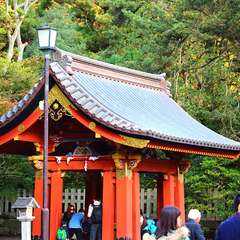 投稿日:2014年12月30日 写真