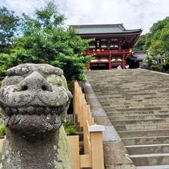 投稿日:2020年6月12日 写真