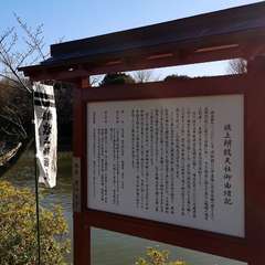 投稿日:2021年12月20日 写真