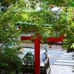 投稿日:2014年12月25日 写真