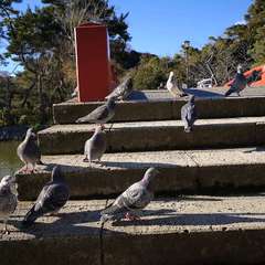 投稿日:2021年12月20日 写真