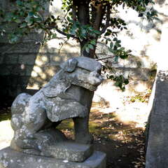 諏訪神社(投稿日:2025年7月26日) 写真