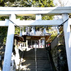 諏訪神社(投稿日:2025年7月26日) 写真