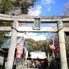 海南神社(投稿日:2025年7月26日) 写真