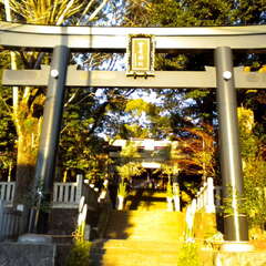 曾屋神社(投稿日:2025年7月26日) 写真
