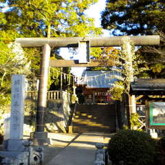 堀之郷正八幡宮(投稿日:2025年7月26日) 写真
