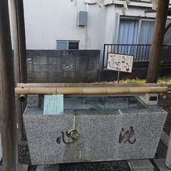 投稿日:2020年5月17日 写真