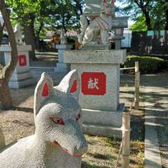 投稿日:2020年5月17日 写真