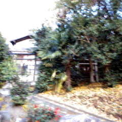 御蔭神社(投稿日:2025年7月26日) 写真