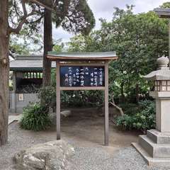 投稿日:2024年10月11日 写真