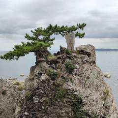 投稿日:2024年10月11日 写真