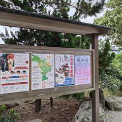 投稿日:2024年10月11日 写真