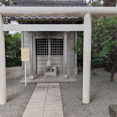 投稿日:2024年10月11日 写真