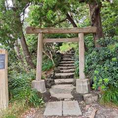 投稿日:2024年10月11日 写真