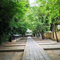 投稿日:2019年9月7日 写真