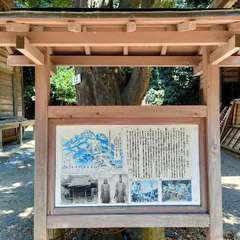 投稿日:2023年8月18日 写真