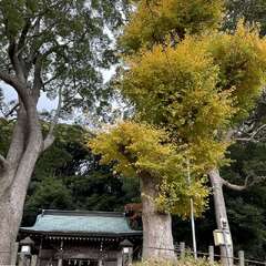 白岩神社(投稿日:2025年12月6日) 写真