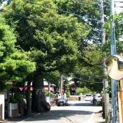 投稿日:2015年9月13日 写真