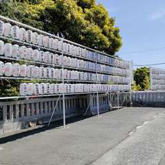 投稿日:2023年5月5日 写真