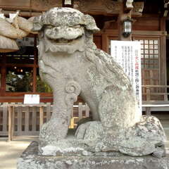 投稿日:2025年6月20日 写真